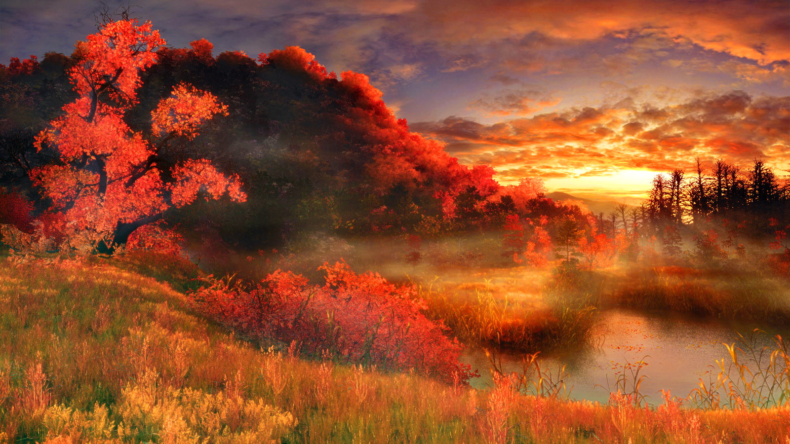 Багряная лета. Шультце Булонский лес. Буйство красок в природе. Яркие краски природы. Осенний закат живопись.